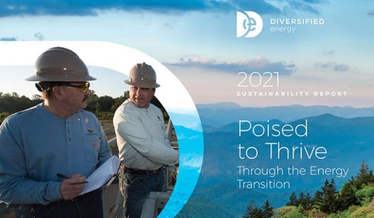 sustainability report 2021