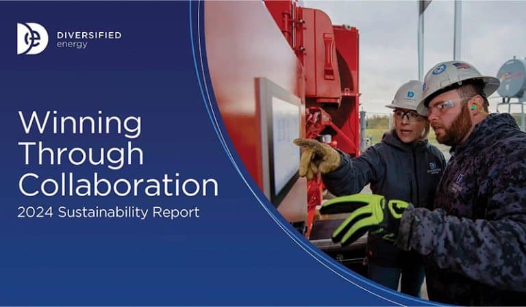 sustainability report 2024