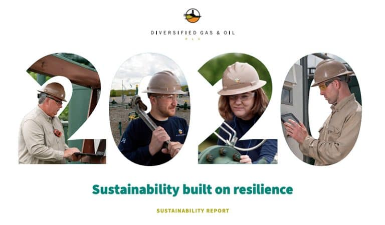 sustainability report 2020
